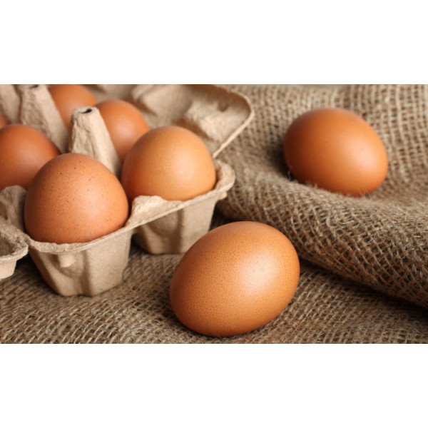 Oeufs Oeufs