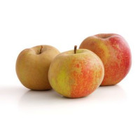 Pomme à cuire Boscoop 500gr + une recette offerte