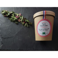 Tisane Circul'action BIO